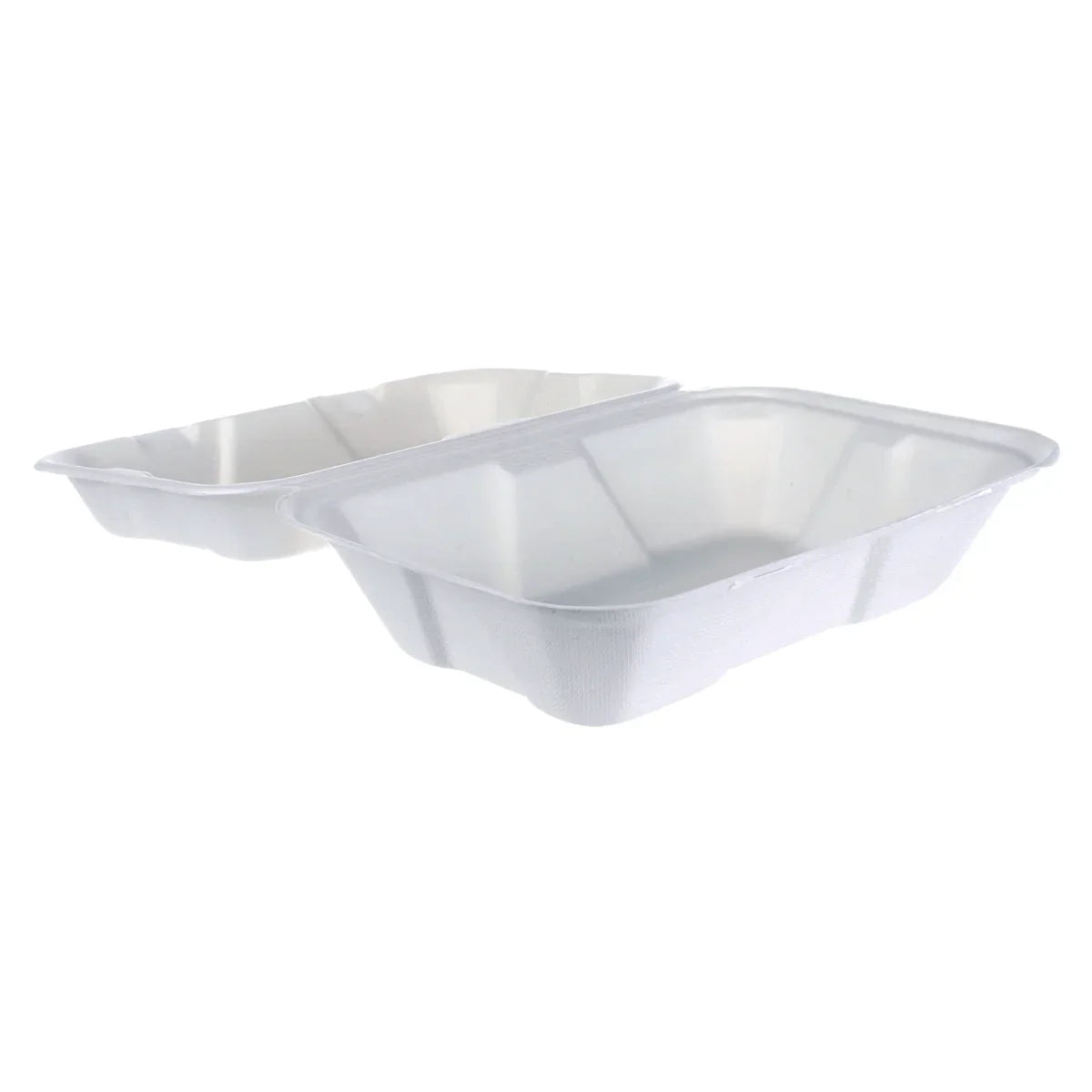 iEco Hinged Bagasse Containers 6 in × 9 in 2 packs of 50