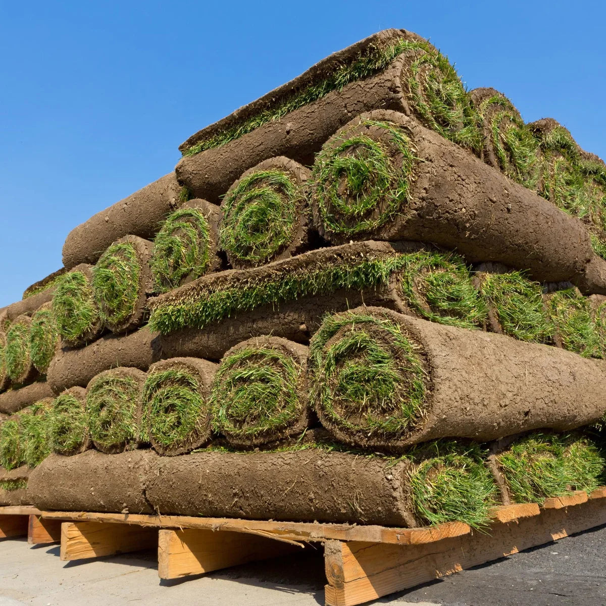 Western Canada Turf Sod 400 – 1300 sq. ft.
