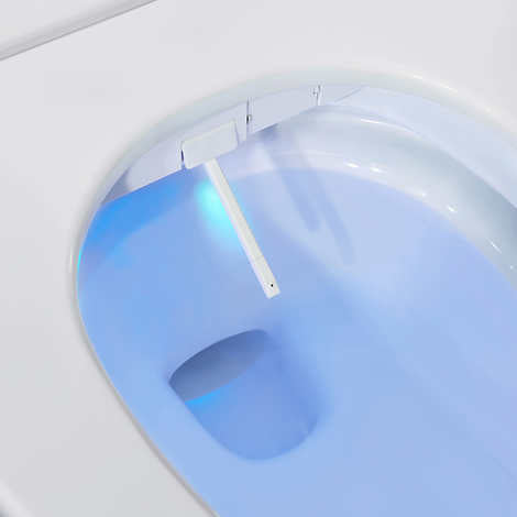 OVE Irenne Classic 2-piece Smart Bidet Toilet