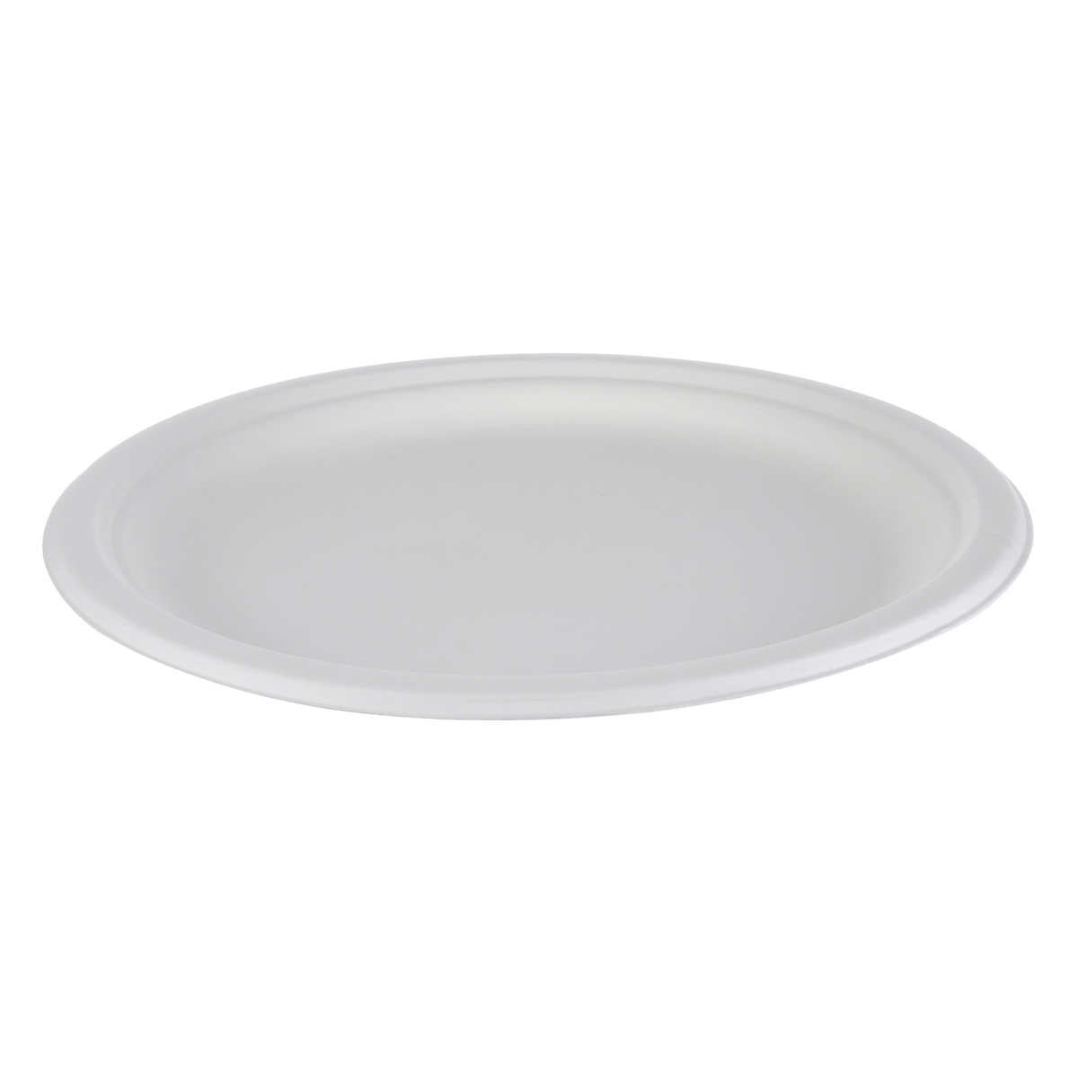 IECO 10-in Bagasse Plates 5 packs of 50
