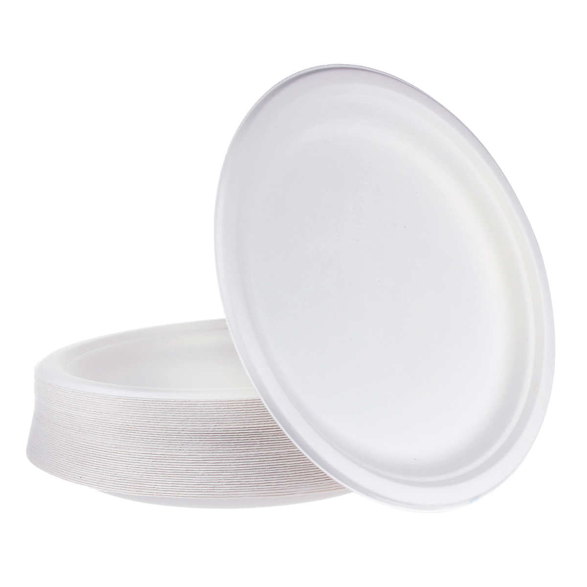IECO 10-in Bagasse Plates 5 packs of 50